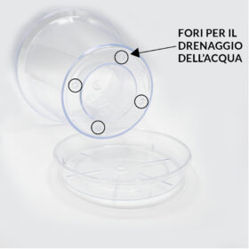 Vaso Kalapanta trasparente con quattro fori di drenaggio