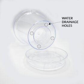 Transparent pot with four drainage holes