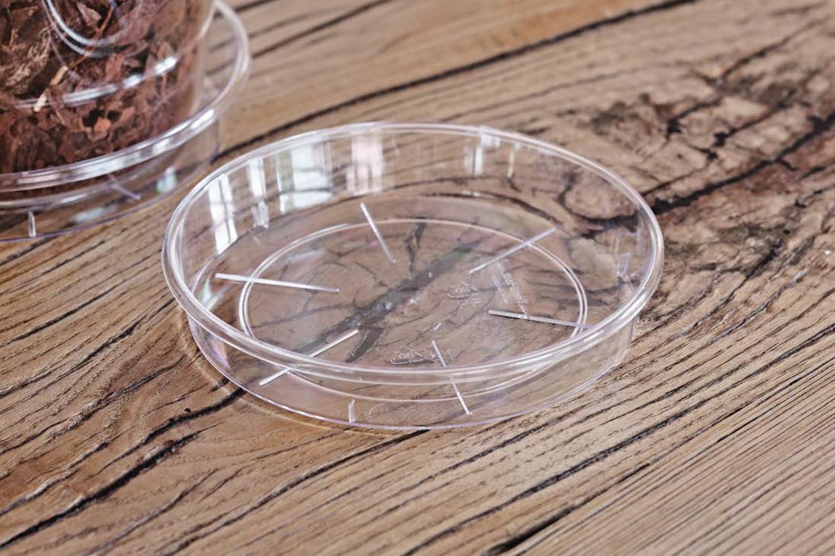 Sottovaso trasparente sopra superficie di legno