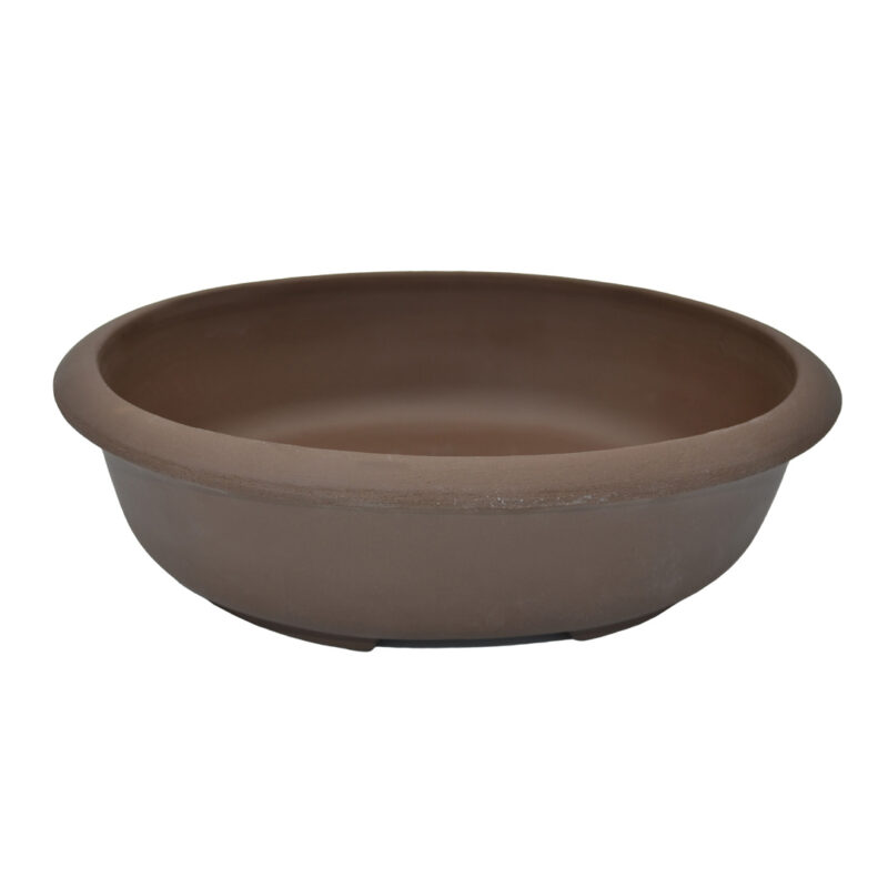 Vaso per bonsai ovale vuoto