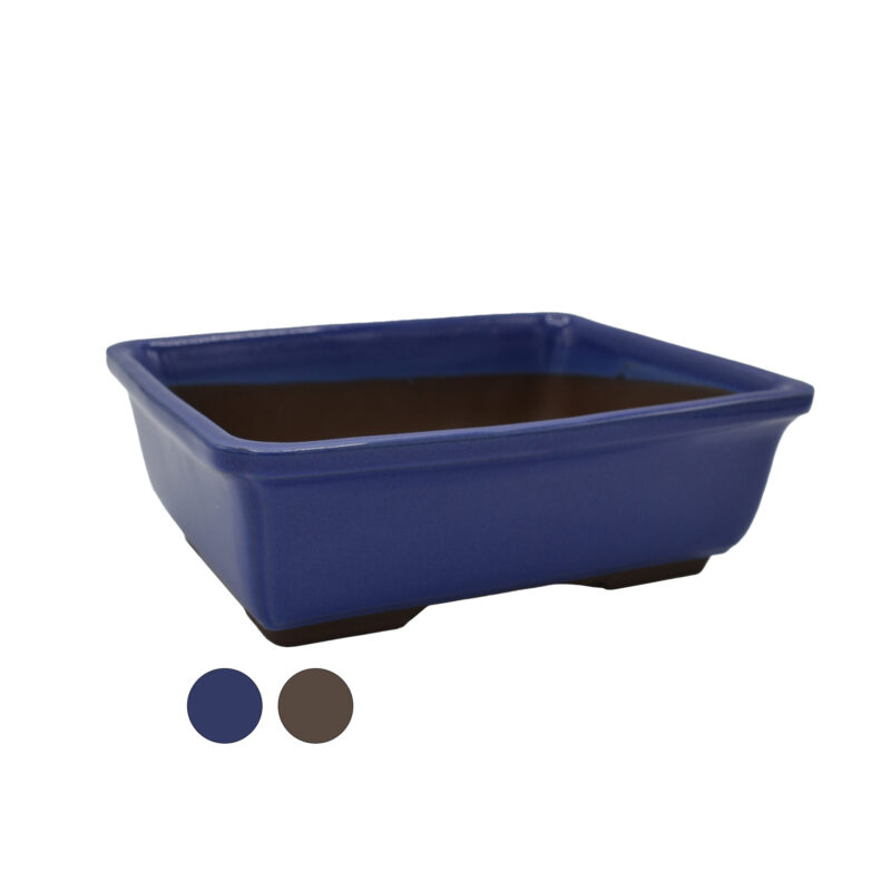 Vaso per bonsai rettangolare blu