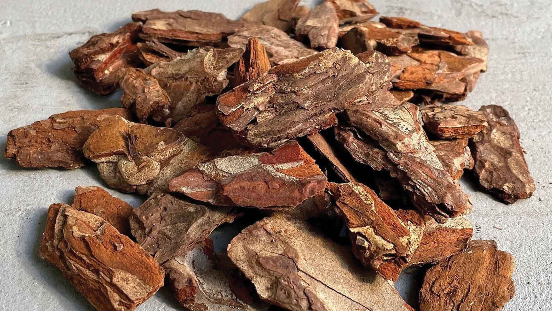 Orchid Bark