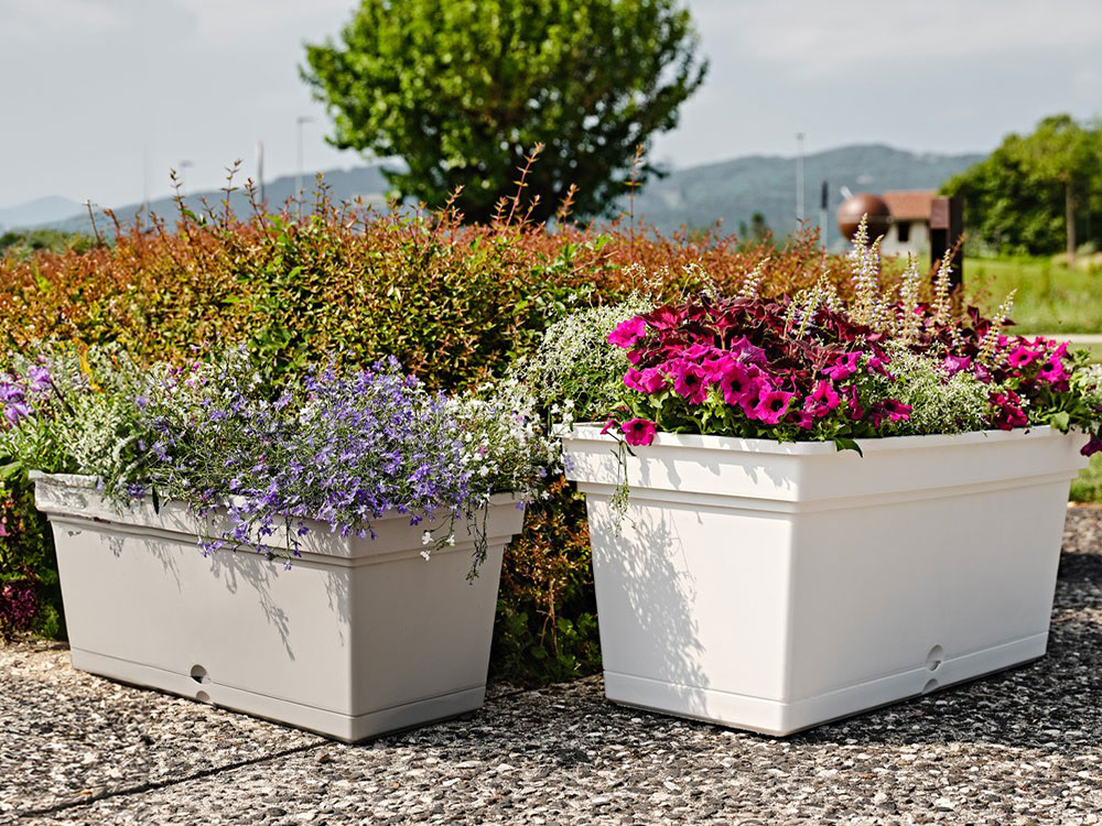 Prepara il tuo giardino per l’estate!