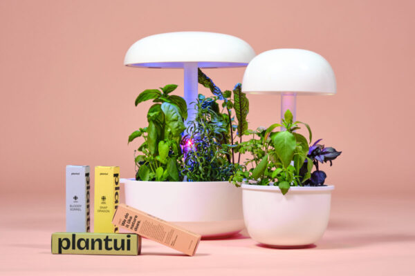 smart garden bianco con capsule