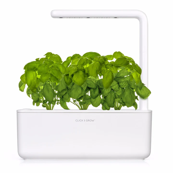 click and grow smart garden basilico